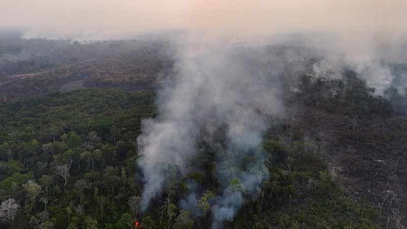 Tampilan dari drone yang memperlihatkan area hutan hujan yang telah ditebang sedang terbakar selama musim kemarau di wilayah Autazes, negara bagian Amazonas, Brasil, pada 12 Oktober 2026.