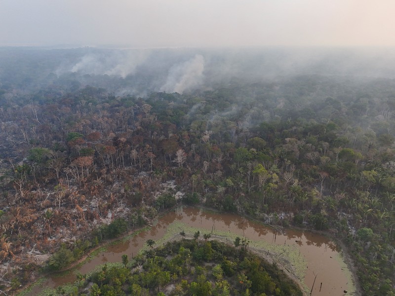 Sebuah area hutan hujan Amazon yang telah digunduli terbakar selama musim kemarau di wilayah Autazes, negara bagian Amazonas, Brasil. 12 Oktober 2026. (REUTERS/Bruno Kelly)