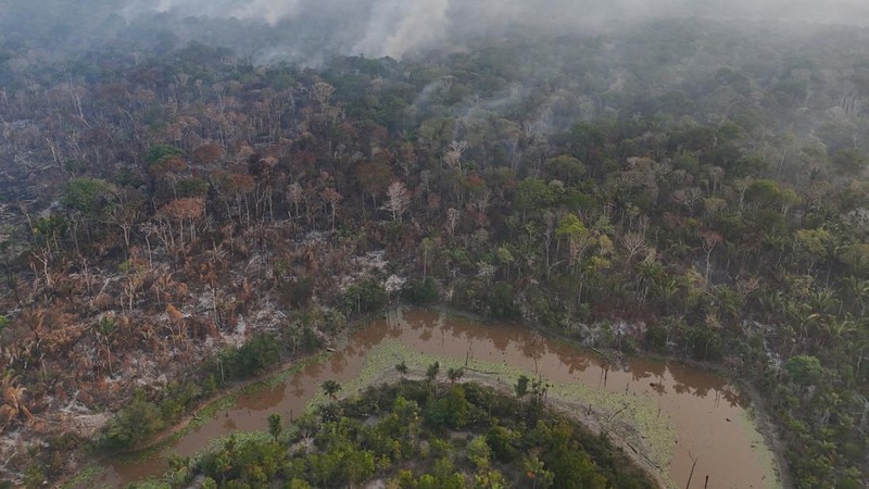 Tampilan dari drone yang memperlihatkan area hutan hujan yang terbakar selama musim kemarau di wilayah Autazes, negara bagian Amazonas, Brasil, pada 12 Oktober 2026.