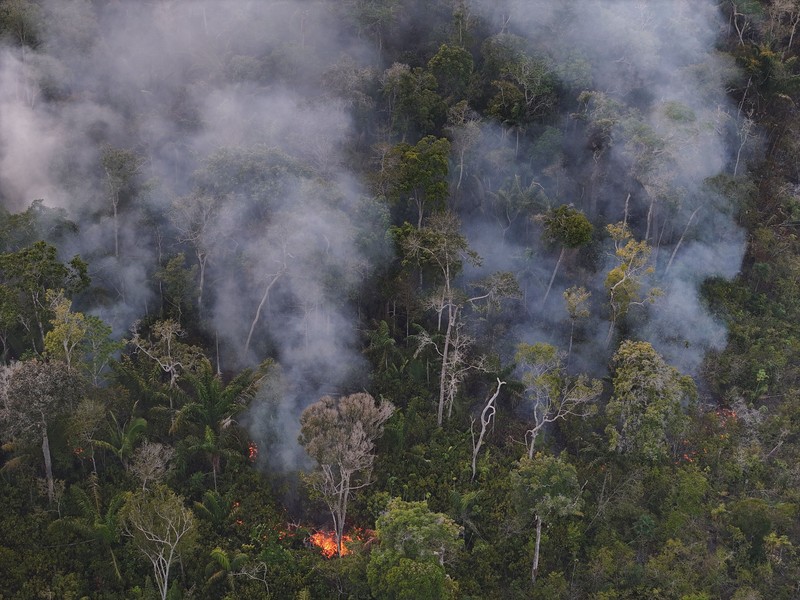 Sebuah area hutan hujan Amazon yang telah digunduli terbakar selama musim kemarau di wilayah Autazes, negara bagian Amazonas, Brasil. 12 Oktober 2026. (REUTERS/Bruno Kelly)