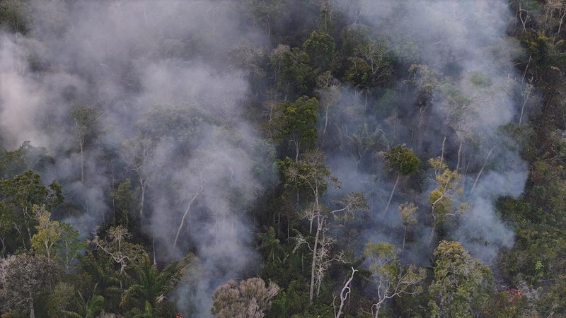 Tampilan dari drone yang memperlihatkan area hutan hujan yang terbakar selama musim kemarau di wilayah Autazes, negara bagian Amazonas, Brasil, pada 12 Oktober 2026.