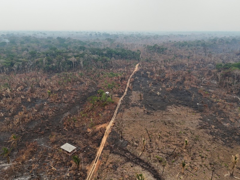 Sebuah area hutan hujan Amazon yang telah digunduli terbakar selama musim kemarau di wilayah Autazes, negara bagian Amazonas, Brasil. 12 Oktober 2026. (REUTERS/Bruno Kelly)