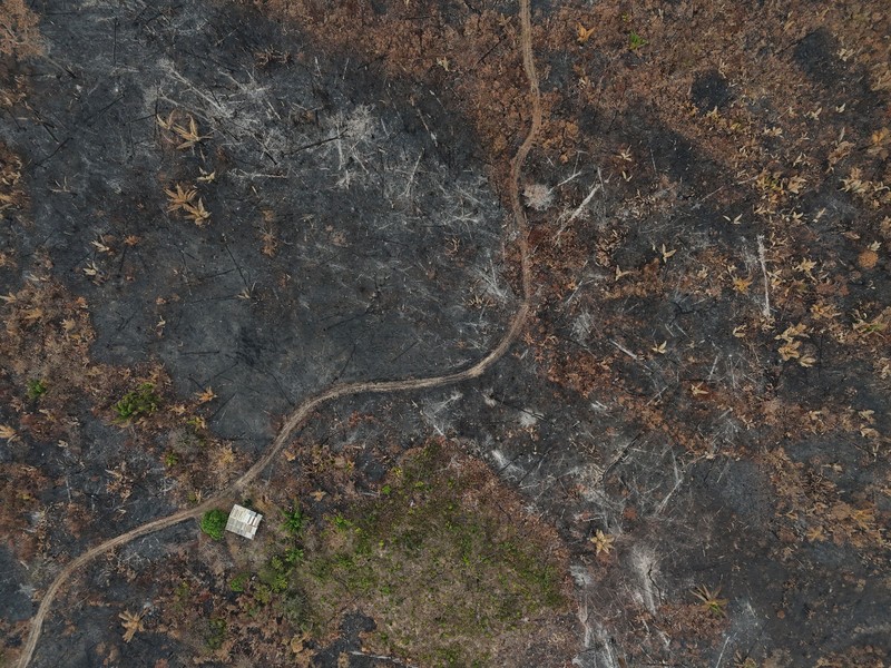Sebuah area hutan hujan Amazon yang telah digunduli terbakar selama musim kemarau di wilayah Autazes, negara bagian Amazonas, Brasil. 12 Oktober 2026. (REUTERS/Bruno Kelly)