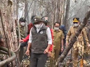 Video: Atasi Karhutla Tanjung Puting, Jalur Darat dan Sumur Bor Disiapkan