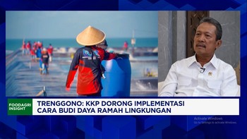 Benih Lobster Ilegal Mengalir ke Vietnam Cs, Indonesia Rugi USD 1 Miliar Per Tahun