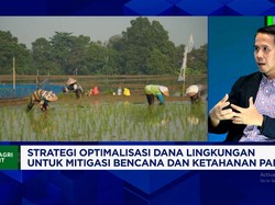 Cara BPDLH Kemenkeu Bantu Pembiayaan Petani Kecil Sambil Jaga Hutan & Lingkungan