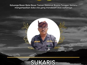 3 Korban Tewas Terjebak Kebakaran di Bromo: Relawan dan Petugas TNBTS