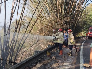 Lahan 1 Hektare di Plesedan Bantul Terbakar gegara Warga Bakar Sampah