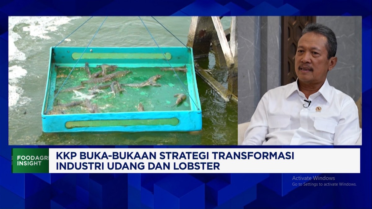Video: Menteri Trenggono dan Jurus Berantas Penyelundupan Benih Lobster