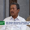 Menteri Trenggono & Jurus KKP Perkuat Posisi RI Jadi Eksportir Udang Terbesar ke-4 Dunia