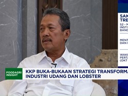 Menteri Trenggono & Jurus KKP Perkuat Posisi RI Jadi Eksportir Udang Terbesar ke-4 Dunia