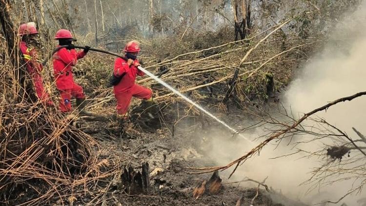 Asap Karhutla Tertahan di Langit-Halangi Matahari Bikin Sulit Hujan