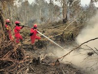 Petugas pemadam melakukan pemadaman kebakaran hutan dan lahan (karhutla) yang melanda Kalimantan. (Dok. Kementerian Kehutanan)