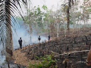 Bakar Lahan Satu Hektare untuk Tanam Sawit, Petani di Lubuklinggau Ditangkap