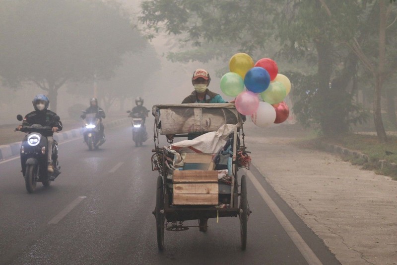 Suasana saat kabut kebakaran hutan menyelimuti kawasan di Palangka Raya, provinsi Kalimantan Tengah, Rabu (14/10/2026). (REUTERS/Arief Rahman Septian Prathama)