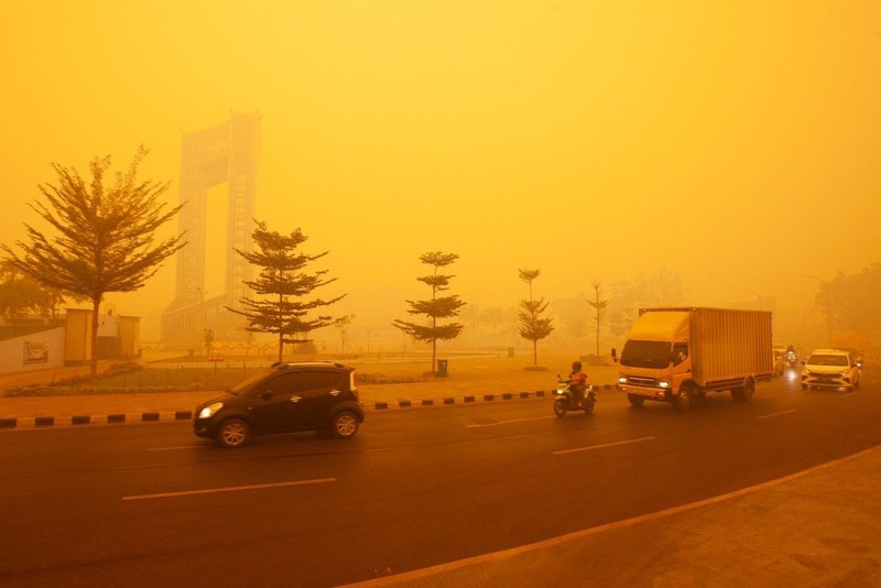 Suasana saat kabut kebakaran hutan menyelimuti kawasan di Palangka Raya, provinsi Kalimantan Tengah, Rabu (14/10/2026). (REUTERS/Arief Rahman Septian Prathama)