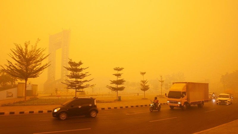 Suasana saat kabut kebakaran hutan menyelimuti kawasan di Palangka Raya, provinsi Kalimantan Tengah, Rabu (14/10/2026). (AFP/REINA)
