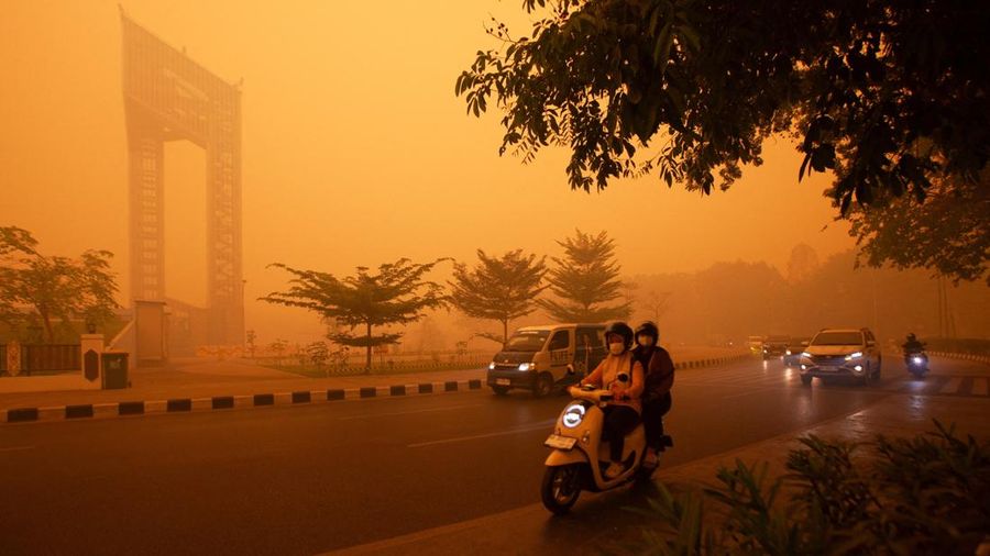 Suasana saat kabut kebakaran hutan menyelimuti kota Palangkaraya, provinsi Kalimantan Tengah, Rabu (14/10/2026). (REUTERS/Arief Rahman Septian Prathama)