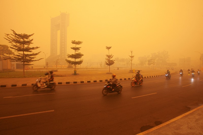 Suasana saat kabut kebakaran hutan menyelimuti kawasan di Palangka Raya, provinsi Kalimantan Tengah, Rabu (14/10/2026). (REUTERS/Arief Rahman Septian Prathama)