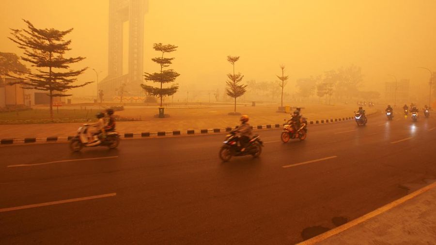Suasana saat kabut kebakaran hutan menyelimuti kawasan di Palangka Raya, provinsi Kalimantan Tengah, Rabu (14/10/2026). (REUTERS/Arief Rahman Septian Prathama)