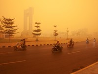 Suasana saat kabut kebakaran hutan menyelimuti kota Palangkaraya, provinsi Kalimantan Tengah, Rabu (14/10/2026). (REUTERS/Arief Rahman Septian Prathama)