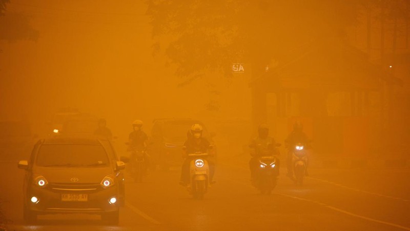 Suasana saat kabut kebakaran hutan menyelimuti kawasan di Palangka Raya, provinsi Kalimantan Tengah, Rabu (14/10/2026). (REUTERS/Arief Rahman Septian Prathama)