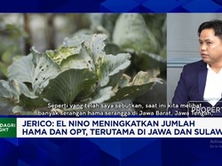 Bantu Atasi Hama Saat Kemarau, Inovasi Pestisida Manfaatkan Peneliti - Petani