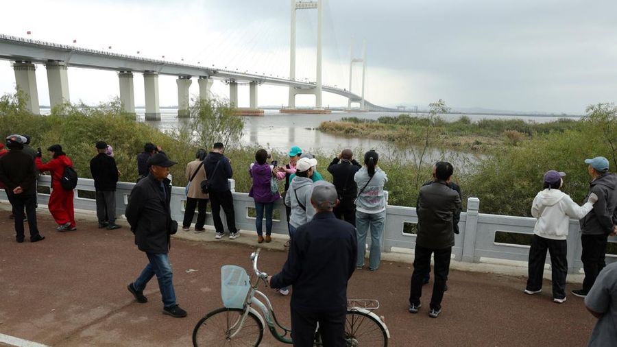 China dan Korea Utara secara resmi menandai pembukaan Jembatan Sungai Yalu Baru yang telah lama tertunda pada Kamis (15/10/2026). (REUTERS/Florence Lo)