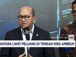 Danantara Lihat Peluang di Tengah IHSG Ambruk
