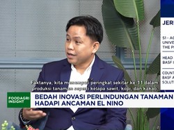 El Nino Picu Ancaman Serang Hama Cabai - Bawang, Inovasi Pestisida Bisa Atasi?