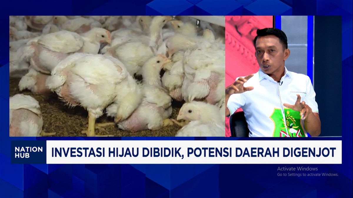 Video: Ekonomi Baru, Sidrap Pasok Telur MBG - Biogas Kotoran Ayam