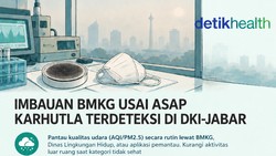 Infografis: Wanti-wanti BMKG usai Asap Karhutla Terdeteksi di DKI-Jabar