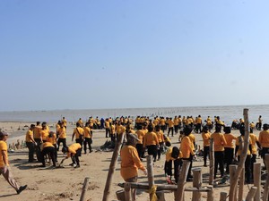Green Policing Polresta Tuban, Tanam Mangrove hingga Bersih-bersih Pantai