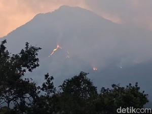 Kebakaran Gunung Arjuno-Welirang Terus Meluas ke-11 Titik