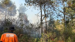 Kebakaran Hutan Lereng Lawu Karanganyar Meluas, Dekati Jalur Pendakian