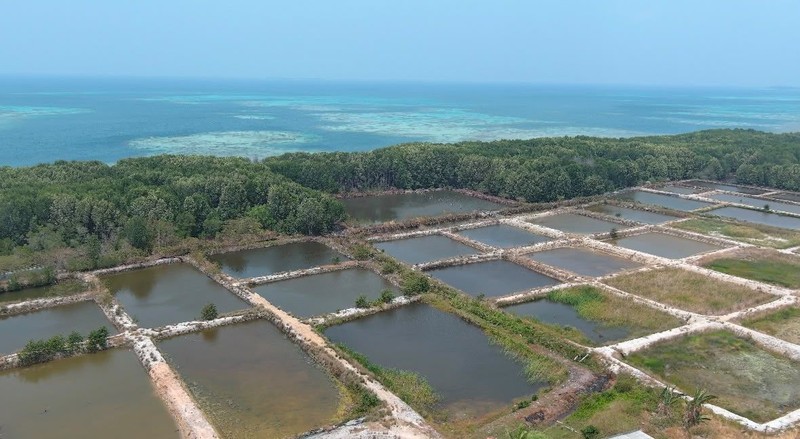 Kementerian Kelautan dan Perikanan (KKP) menyegel dua lokasi tambak udang seluas total 7,71 hektare (ha) di Pulau Karimunjawa, Kabupaten Jepara, Jawa Tengah. (Dok. KKP)