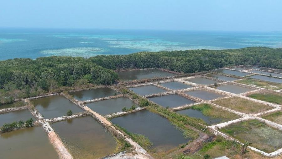 Kementerian Kelautan dan Perikanan (KKP) menyegel dua lokasi tambak udang seluas total 7,71 hektare (ha) di Pulau Karimunjawa, Kabupaten Jepara, Jawa Tengah. (Dok. KKP)