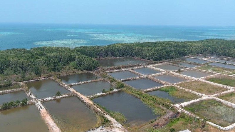 Kementerian Kelautan dan Perikanan (KKP) menyegel dua lokasi tambak udang seluas total 7,71 hektare (ha) di Pulau Karimunjawa, Kabupaten Jepara, Jawa Tengah. (Dok. KKP)