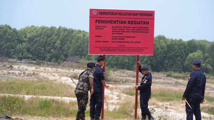Kementerian Kelautan dan Perikanan (KKP) menyegel dua lokasi tambak udang seluas total 7,71 hektare (ha) di Pulau Karimunjawa, Kabupaten Jepara, Jawa Tengah. (Dok. KKP)