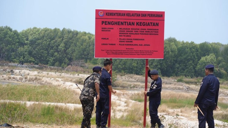 Kementerian Kelautan dan Perikanan (KKP) menyegel dua lokasi tambak udang seluas total 7,71 hektare (ha) di Pulau Karimunjawa, Kabupaten Jepara, Jawa Tengah. (Dok. KKP)