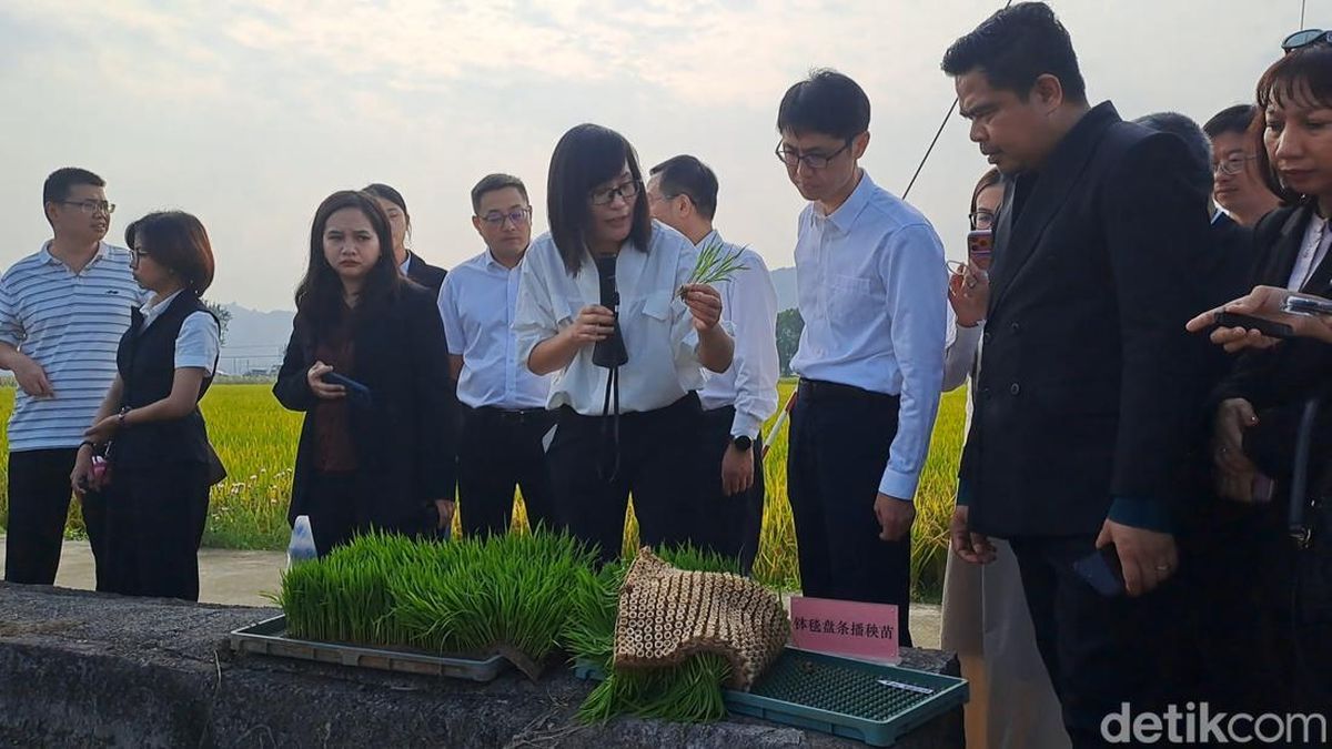 Kementrans Gandeng Pusat Riset Padi China Kembangkan Kawasan Transmigrasi Papua — NadiKabar.com