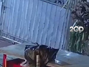 Video: Aksi Tukang Mi Ayam di Bekasi Ambil Kucing Lalu Masukkan ke Laci