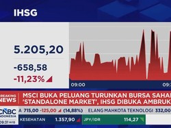 Lapor Pak Prabowo, IHSG Anjlok 11% & Terjun ke Level 5.200-an