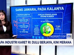 Nestapa Industri Karet RI: Dulu Berjaya, Kini Merana