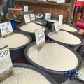 Pantauan harga beras di Pasar Rumput, Jakarta Selatan, Jumat (16/10/2026).  (CNBC Indonesa/Martyasari RIzky)