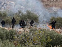 Para pemukim Israel berada di dekat api di tengah bentrokan dengan warga Palestina saat musim panen zaitun di Abu Falah, dekat Ramallah, di Tepi Barat yang diduduki Israel, 16 Oktober 2026. (REUTERS/Ammar Awad)