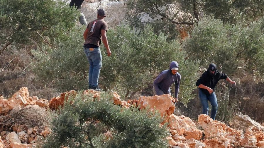 Seorang pemukim Israel mengarahkan senjata di tengah bentrokan dengan warga Palestina yang sedang memanen zaitun di Abu Falah, dekat Ramallah, di Tepi Barat yang diduduki Israel, pada 16 Oktober 2026.