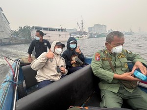 Geger Jasad Orang Utan Mengapung di Sungai Kumai