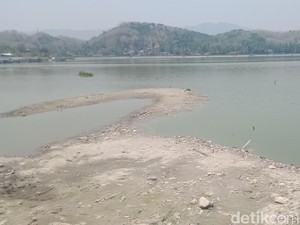 Rawa Jombor Surut, Pengelola Perahu Wisata Curhat Takut Kapal Rusak