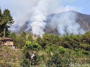 Pemadamanan Karhutla Arjuno-Welirang Pakai Sekat Bakar